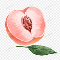 千娇直播APP应用